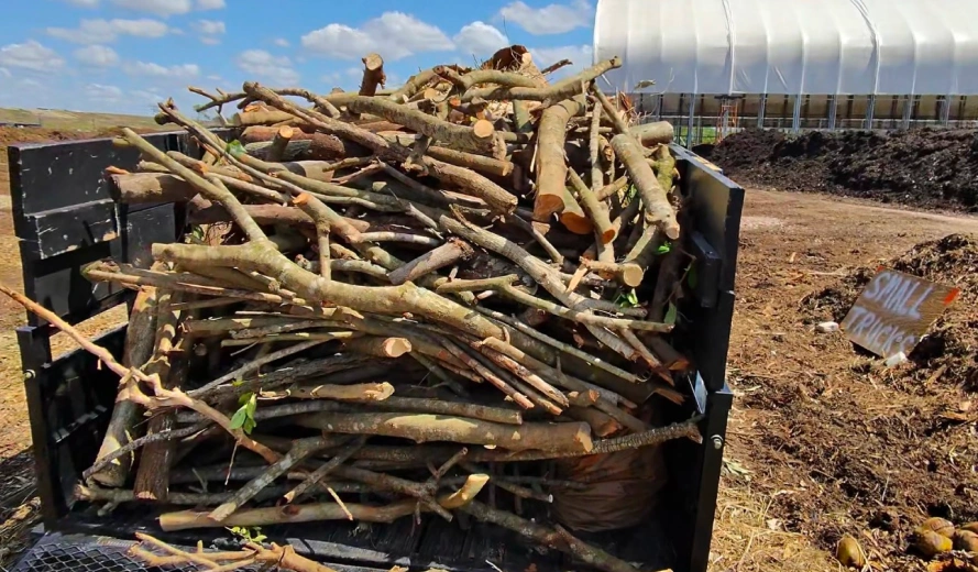 Debris Removal Debris Removal