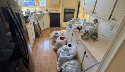 Property Cleanouts